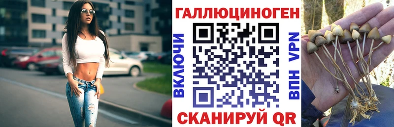 Галлюциногенные грибы ЛСД Рассказово